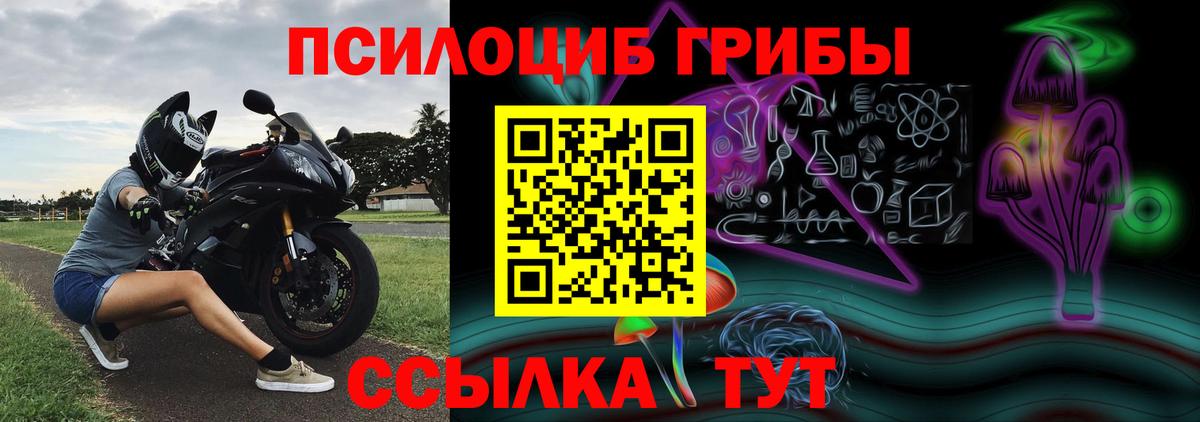 Псилоцибиновые грибы Psilocybe Прокопьевск